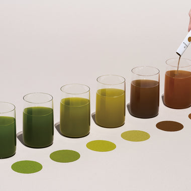 THE NODOKA 全種類アソートセット