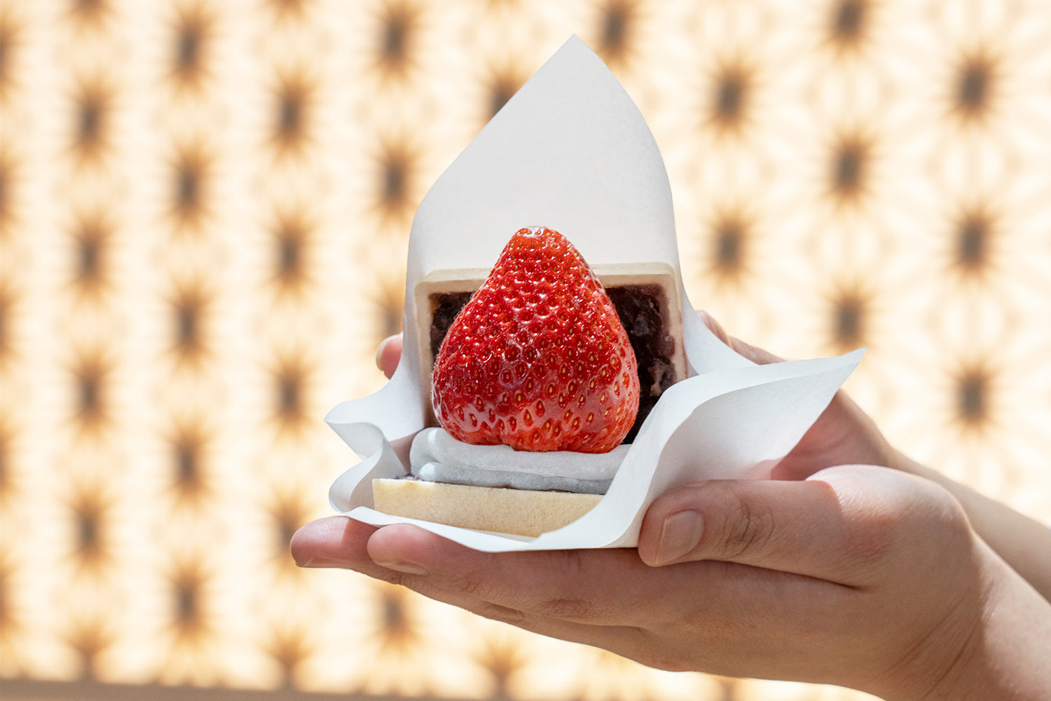 《大粒いちご》を堪能できる「季節のフルーツ大福もなか／季節のフルーツ大福」が販売開始！