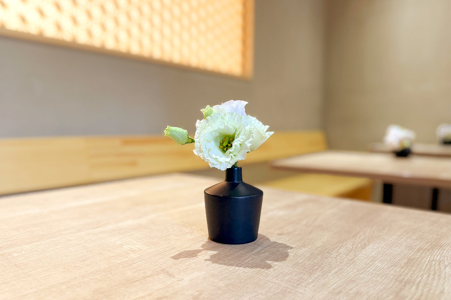 繊細な光が満ちる店内で和スイーツを。格別な時間をお届けする《日光もなか》